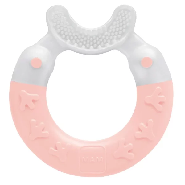 MAM Croc Brosse Anneau de Dentition